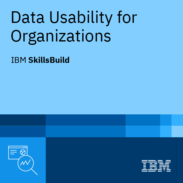 Data Usability for Organizations